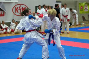 seibukan_WADO_KAI_Europameisterschaft_2012_198.jpg