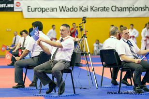 seibukan_Wado_Kai_EM_in_Budapest_2013_046.jpg