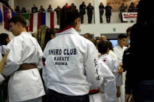 seibukan_World_Karate_Championship_italien_2016_030.jpg