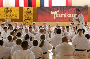 seibukan7_Internationales_Kamikaze_Sommercamp_2015_017.jpg