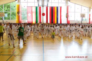 seibukan7_Internationales_Kamikaze_Sommercamp_2015_273.jpg