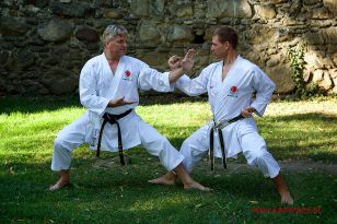 seibukan_3_Int_Karate_Sommercamp_Ravensburg_2015_084.jpg