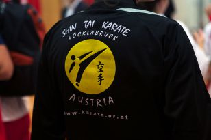 seibukan_Askoe_Bundesmeisterschaft_2011_111.jpg