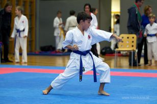 seibukan_Askoe_OOEKarate_Landesmeisterschaft_2013_025.jpg