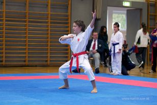 seibukan_Askoe_OOEKarate_Landesmeisterschaft_2013_039.jpg