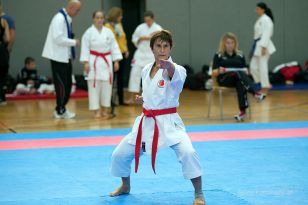 seibukan_Askoe_OOEKarate_Landesmeisterschaft_2013_108.jpg