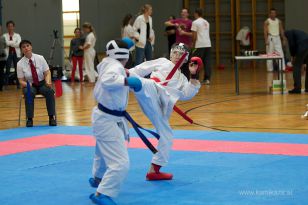 seibukan_Askoe_OOEKarate_Landesmeisterschaft_2013_150.jpg