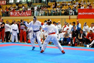 seibukan_Austrian_Junior_Open_2009_015.jpg