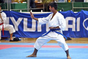 seibukan_Austrian_Junior_Open_2010_018.jpg