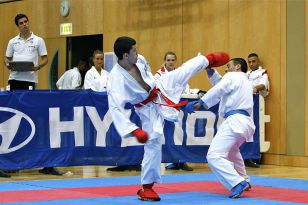 seibukan_Austrian_Junior_Open_2010_037.jpg