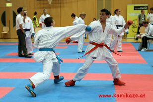 seibukan_Austrian_Junior_Open_2011_103.jpg