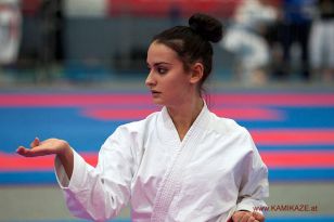 seibukan_Austrian_Karate_Championscup_2015_009.jpg