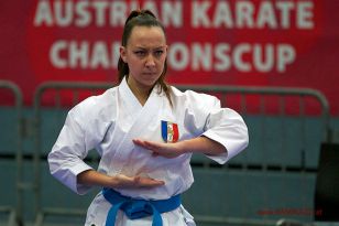 seibukan_Austrian_Karate_Championscup_2015_034.jpg