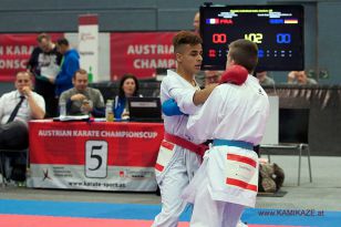 seibukan_Austrian_Karate_Championscup_2015_129.jpg