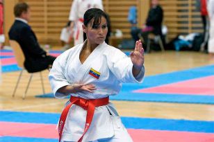 seibukan_Austrian_Open_Golden_League_2009_012.jpg