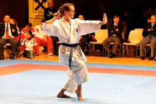 seibukan_Austrian_Open_Golden_League_2009_029.jpg