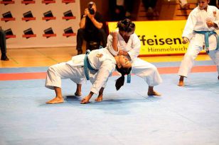 seibukan_Austrian_Open_Golden_League_2009_040.jpg