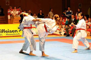 seibukan_Austrian_Open_Golden_League_2009_042.jpg