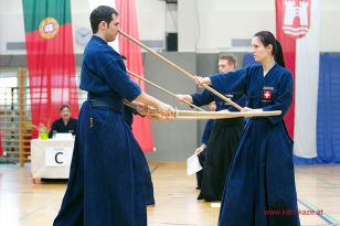 seibukan_JODO_Europameiserschaft_in_Linz_2013_043.jpg