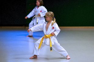 seibukan_KARATE_ein_Sport_fuer_Alt_und_Jung_2012_003.jpg