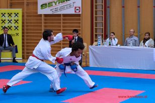 seibukan_Karate1_Premier_League_and_Youth_World Cup_Salzburg_2013_037.jpg