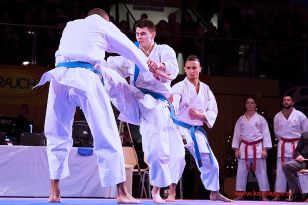 seibukan_Karate1_Premier_League_and_Youth_World Cup_Salzburg_2013_128.jpg