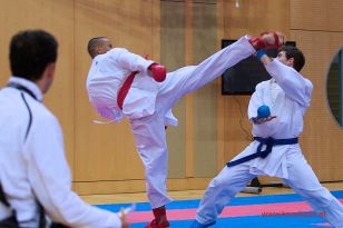 seibukan_Karate1_Premier_League_and_Youth_World Cup_Salzburg_2013_137.jpg