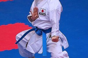 seibukan_Karate1_Premier_League_and_Youth_World Cup_Salzburg_2013_221.jpg