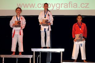 seibukan_Karate_Kids_Cup_Budweis_2014_008.jpg