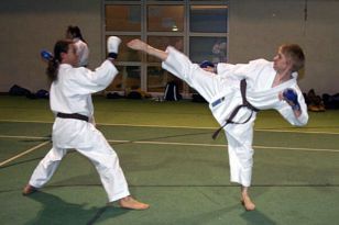 seibukan_Neue_Uebungsleiter_im_Dojo_Seibukan_2009_010.jpg