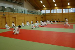 seibukan_Neue_Uebungsleiter_im_Dojo_Seibukan_Linz_2011_015.jpg