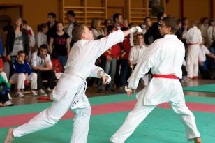 seibukan_Oesterr_Shotokan_Meisterschaft_2011_077.jpg