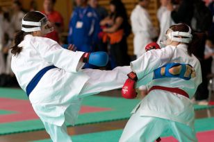 seibukan_Oesterr_Shotokan_Meisterschaft_2011_082.jpg