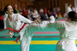 seibukan_Oesterr_Shotokan_Meisterschaft_2011_090.jpg