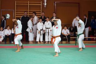 seibukan_Oesterr_Shotokan_Meisterschaft_2013_017.jpg