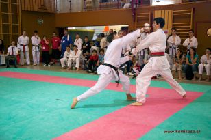 seibukan_Oesterr_Shotokan_Meisterschaft_StGeorgen_2012_042.jpg