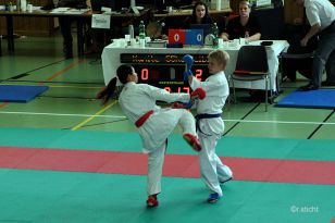 seibukan_Oesterreichische_Goju_Ryo_Shito_Ryu_Meisterschaft_Wien_2014_050.jpg