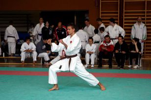 seibukan_Shotokan_Cup_2010_008.jpg