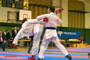 seibukan_Styrian_Open_Fuerstenfeld_2013_023.jpg