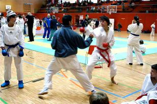 seibukan_VIII_Oesterr_Goju_Ryu_Wado_Ryu_Meisterschaft_2010_007.jpg