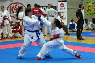 seibukan_WADO_KAI_Europameisterschaft_2012_196.jpg