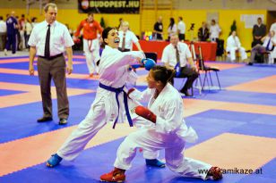 seibukan_Wado_Kai_EM_in_Budapest_2013_064.jpg