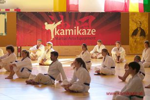 seibukan7_Internationales_Kamikaze_Sommercamp_2015_145.jpg