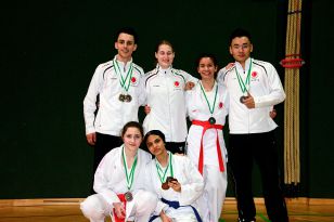 seibukan_19_Styrian_Open_2016_054.jpg