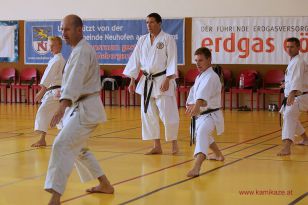 seibukan_5_Intern_Kamikaze_Sommercamp_Neuhofen_2013_223.jpg