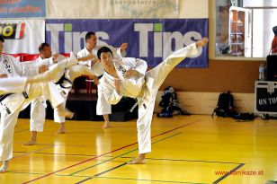 seibukan_8_Int_Kamikaze_Karate_Sommercamp_Neuhofen_2016_019.jpg