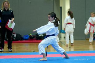 seibukan_Askoe_OOEKarate_Landesmeisterschaft_2013_015.jpg