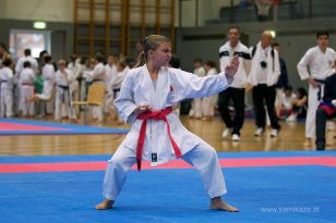 seibukan_Askoe_OOEKarate_Landesmeisterschaft_2013_020.jpg