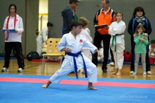 seibukan_Askoe_OOEKarate_Landesmeisterschaft_2013_026.jpg