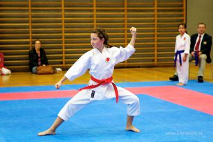 seibukan_Askoe_OOEKarate_Landesmeisterschaft_2013_029.jpg